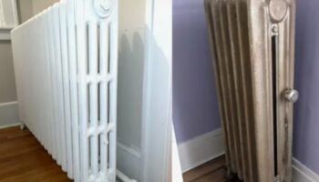 Makine ile Petek Temizliği Nasıl Yapılır?