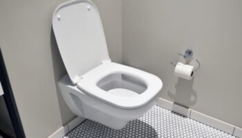 Klozet Tıkanıklığı