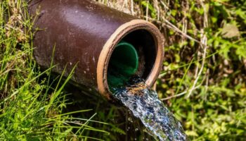 Paslı Su Zararları