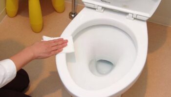 Beşiktaş Tıkanıklık Açma