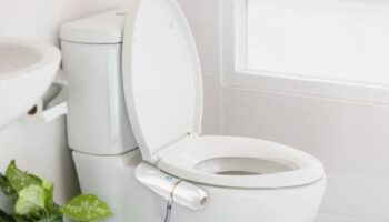 Peçete ile Tıkanmış Tuvalet