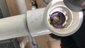 Pimaş Boru Tıkanıklığı Nasıl Açılır